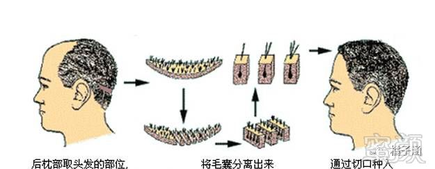 https://img.miyanlife.com/mnt/timg/170723/21461CW6-0.jpg