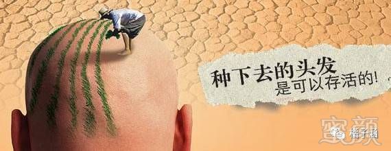 https://img.miyanlife.com/mnt/timg/170723/21461Ta9-4.jpg