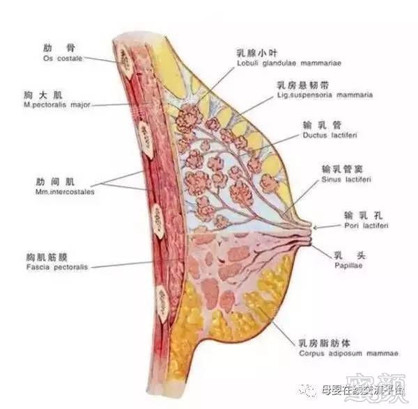 案例图片