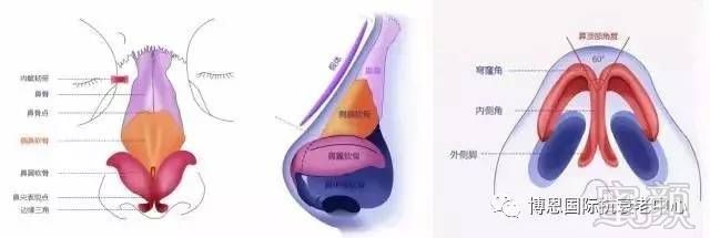 https://img.miyanlife.com/mnt/timg/170726/16220L144-3.jpg