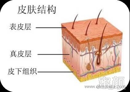 案例图片