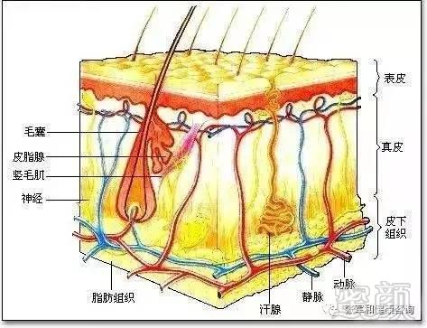 案例图片