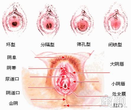 https://img.miyanlife.com/mnt/timg/170802/151U924b-0.jpg