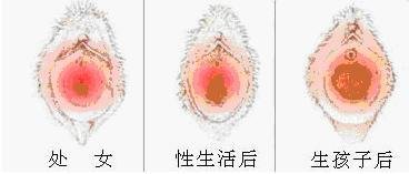 https://img.miyanlife.com/mnt/timg/170802/151UaF6-2.jpg