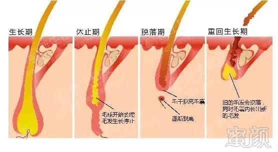 https://img.miyanlife.com/mnt/timg/170803/19101V645-4.jpg