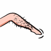 https://img.miyanlife.com/mnt/timg/170811/1341145E8-4.gif