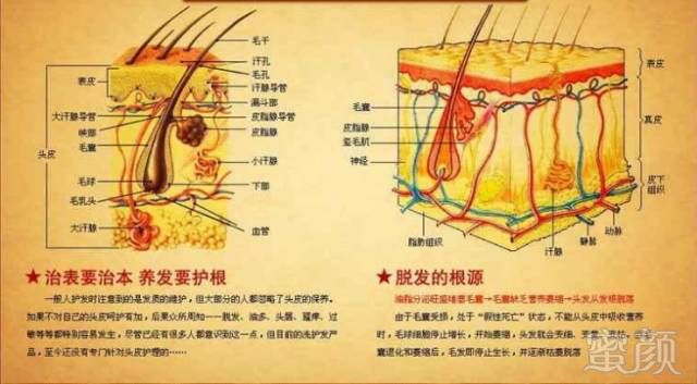 案例图片