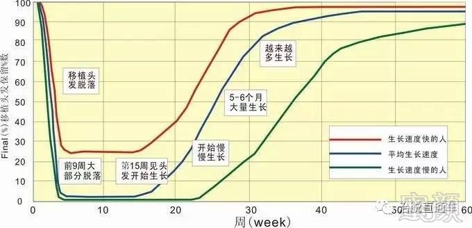 案例图片