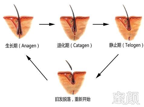 案例图片