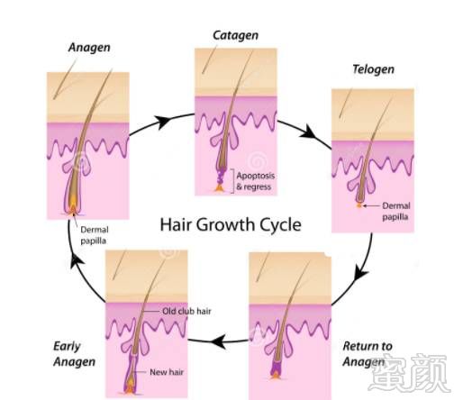 https://img.miyanlife.com/mnt/timg/170824/14001120K-1.jpg