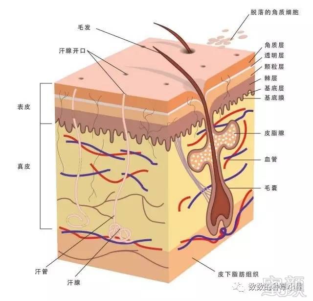 案例图片