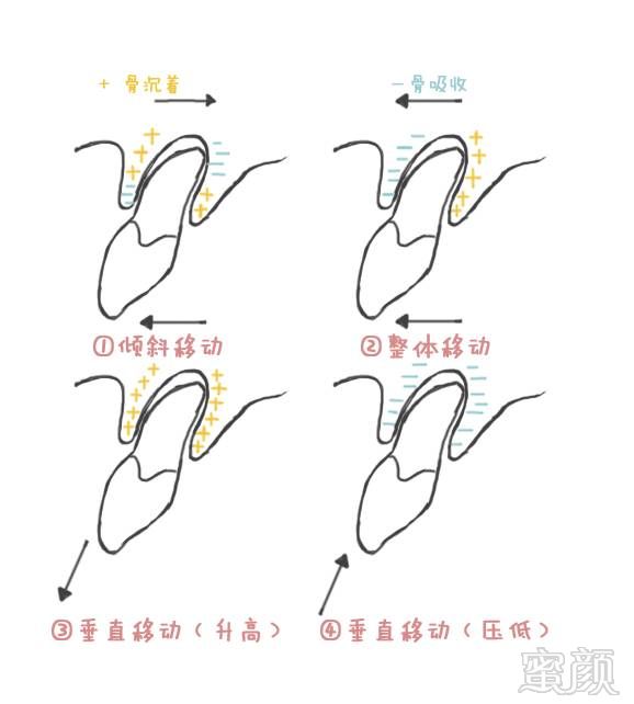 案例图片