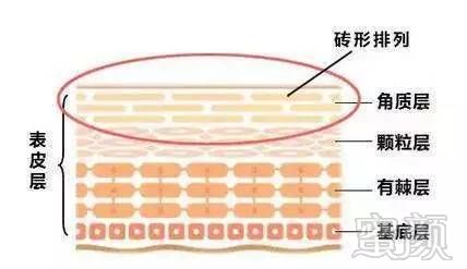 案例图片