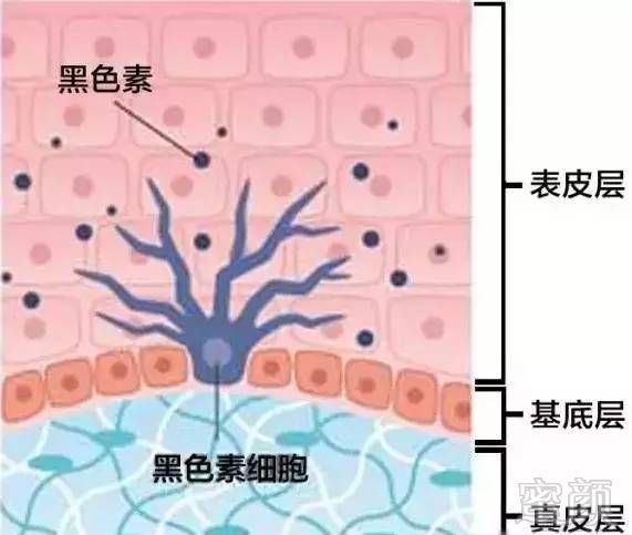 案例图片