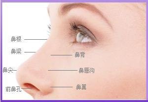 https://img.miyanlife.com/mnt/timg/170906/115212F28-0.jpg
