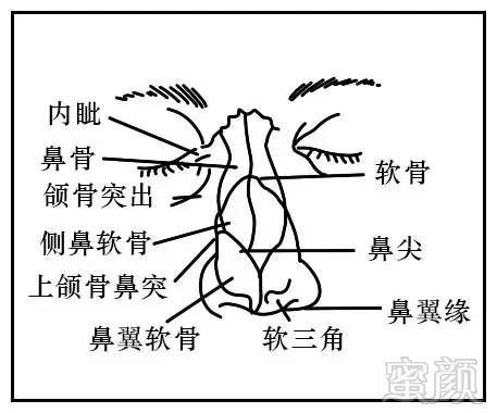 案例图片