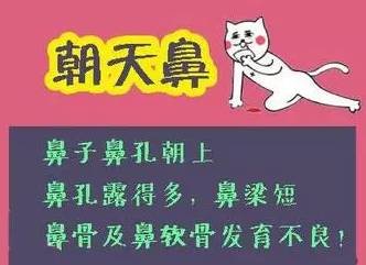 https://img.miyanlife.com/mnt/timg/170916/21150242O-6.jpg