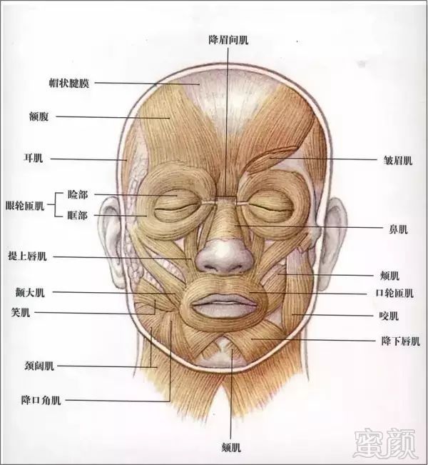 案例图片