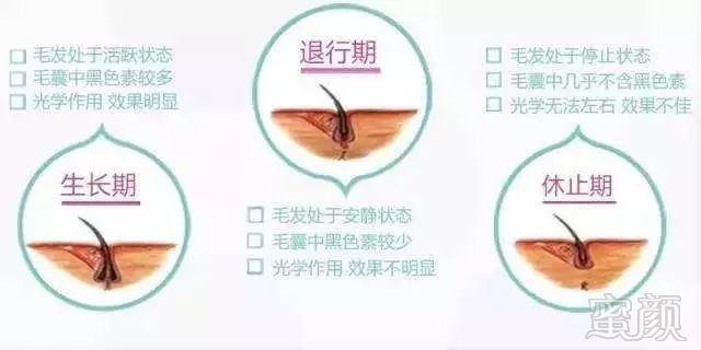https://img.miyanlife.com/mnt/timg/170920/133G460W-0.jpg