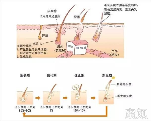 https://img.miyanlife.com/mnt/timg/170921/124S42549-1.jpg