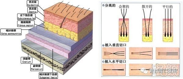 案例图片