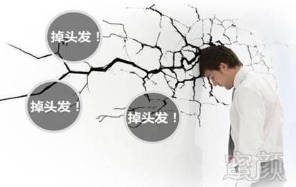 https://img.miyanlife.com/mnt/timg/171005/1220162056-0.jpg