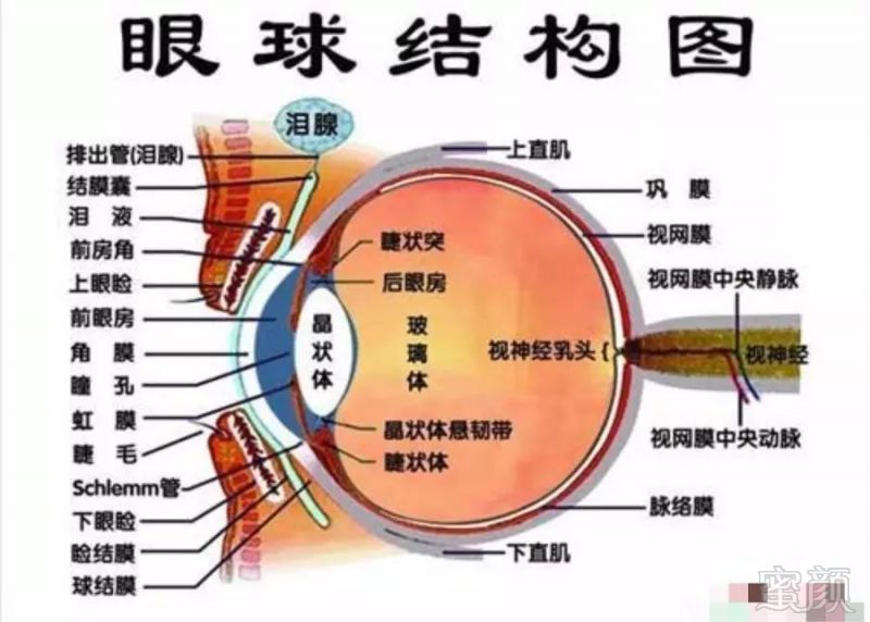 案例图片