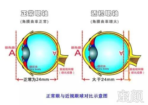 案例图片