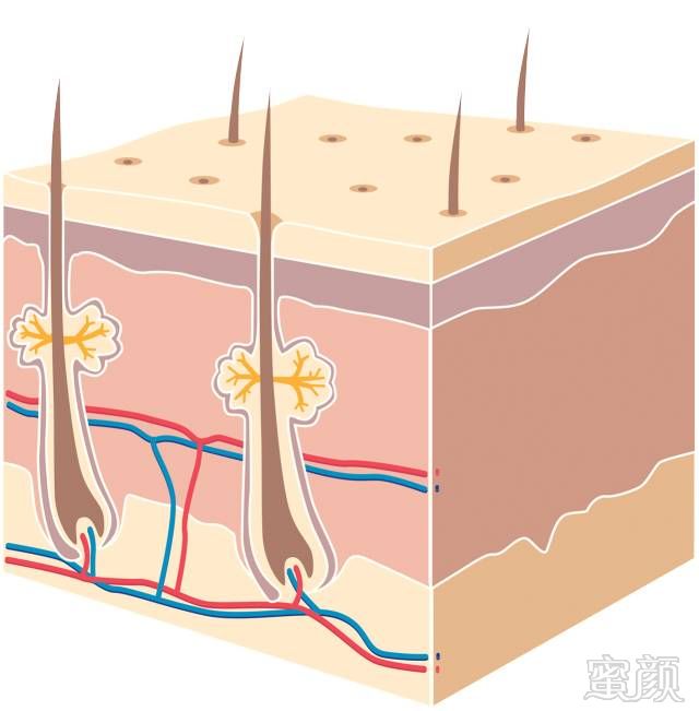 https://img.miyanlife.com/mnt/timg/171009/12213R4V-8.jpg