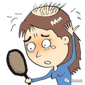 https://img.miyanlife.com/mnt/timg/171010/111453Ia-0.jpg