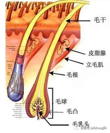 案例图片