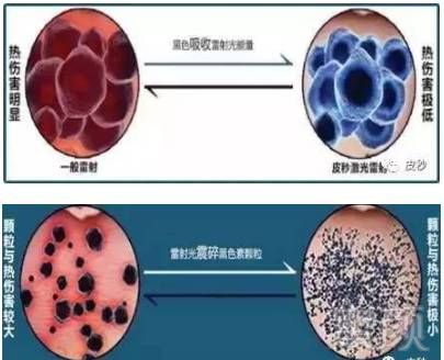 案例图片