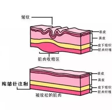 案例图片