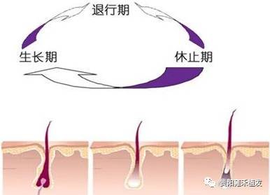 https://img.miyanlife.com/mnt/timg/171012/1306202228-1.jpg