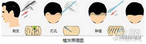 https://img.miyanlife.com/mnt/timg/171012/1306215154-2.jpg