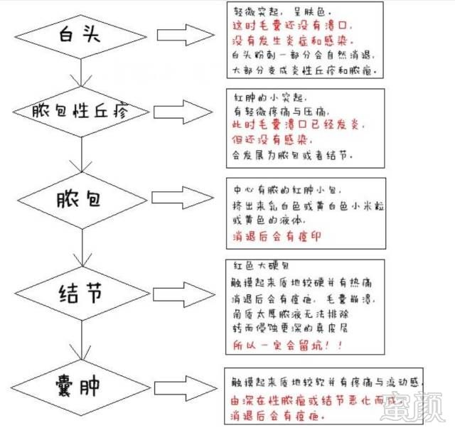 案例图片