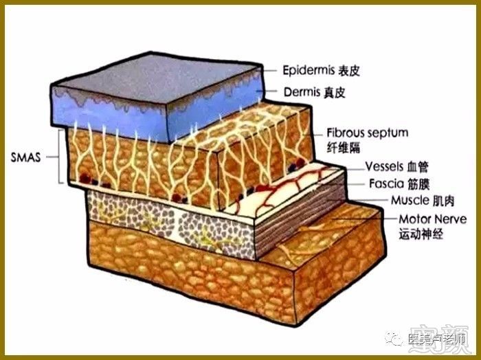 案例图片