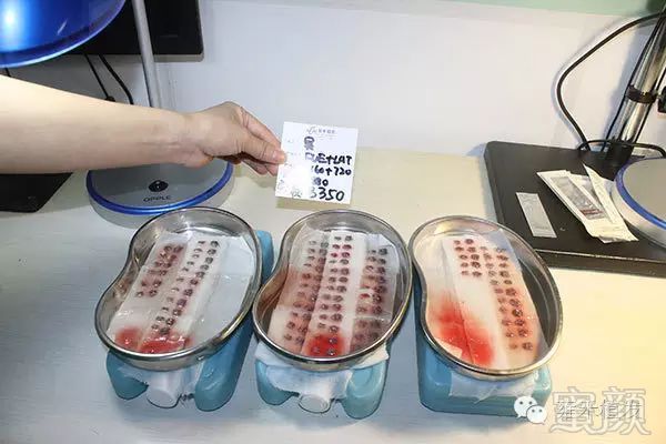 https://img.miyanlife.com/mnt/timg/171014/1040251563-5.jpg
