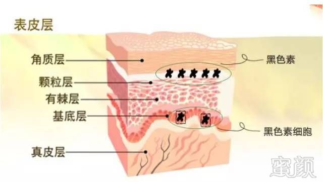 案例图片