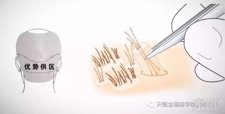 https://img.miyanlife.com/mnt/timg/171015/131102N05-1.jpg