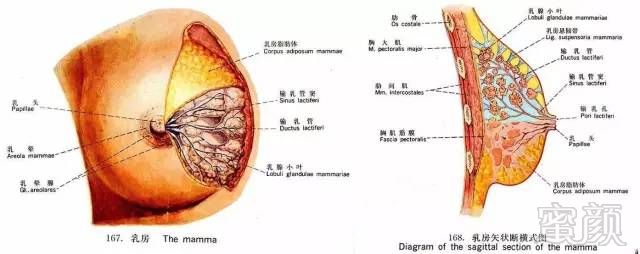 案例图片