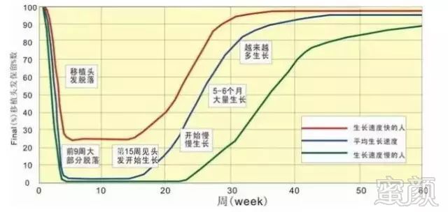 https://img.miyanlife.com/mnt/timg/171016/13124L3L-2.jpg