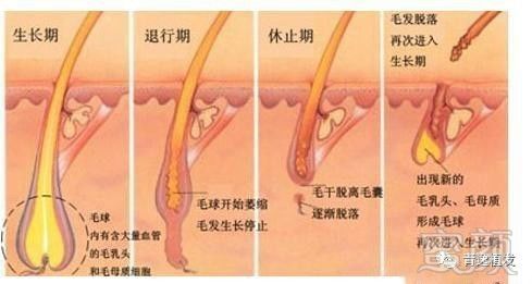 https://img.miyanlife.com/mnt/timg/171017/133T3E07-2.jpg