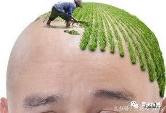 https://img.miyanlife.com/mnt/timg/171017/133T3NO-4.jpg