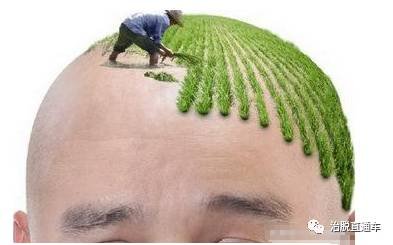 https://img.miyanlife.com/mnt/timg/171018/1035202960-1.jpg