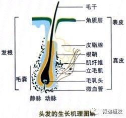 https://img.miyanlife.com/mnt/timg/171018/11012C529-2.jpg