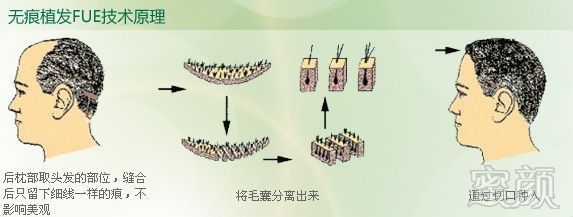 https://img.miyanlife.com/mnt/timg/171018/11050B100-10.jpg