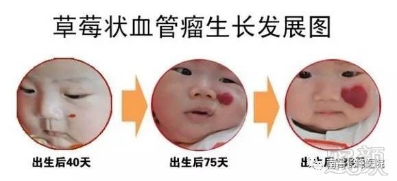 案例图片