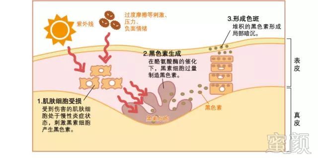 案例图片