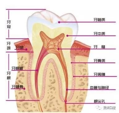 https://img.miyanlife.com/mnt/timg/171025/12450JR9-1.jpg